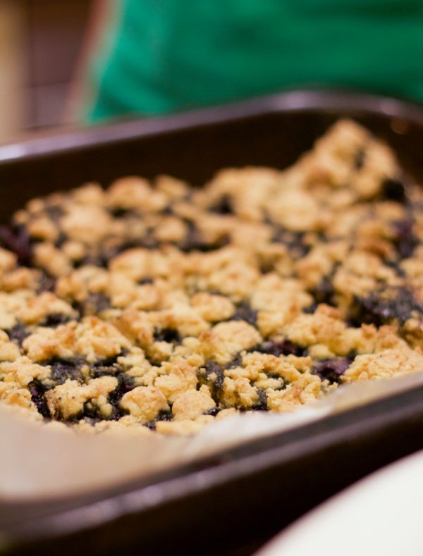 Low FODMAP Blueberry Crumble Slice2