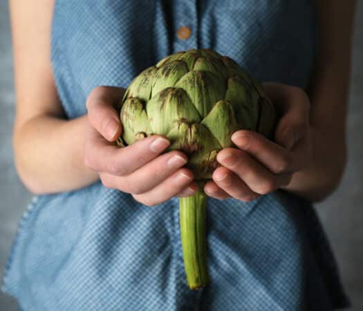 What is Inulin and is it a FODMAP?