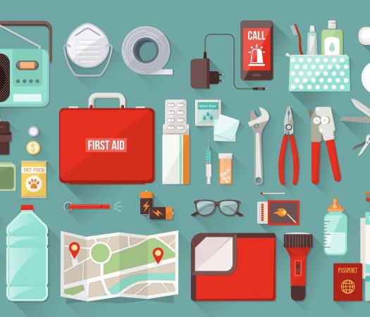 Low FODMAP Emergency Kit