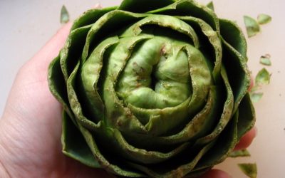 What is Inulin and is it a FODMAP?