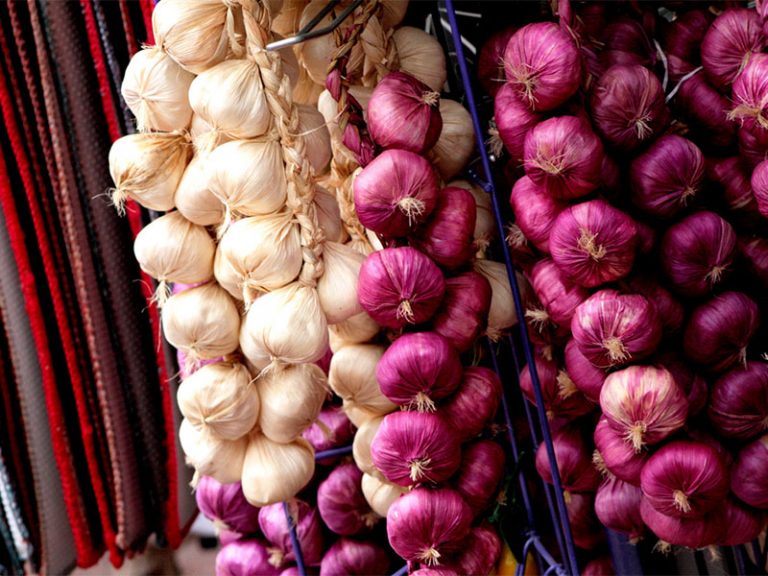 Your Guide to Garlic and the Low FODMAP Diet A Little Bit Yummy
