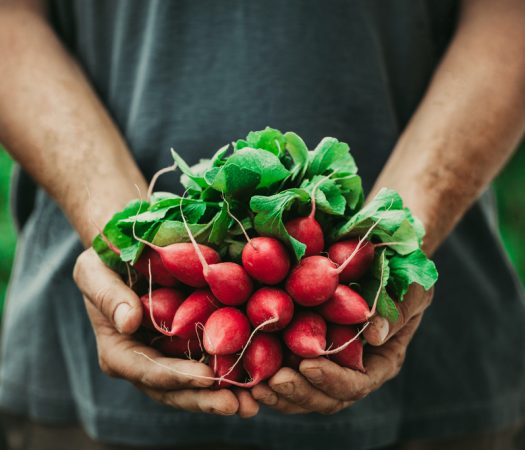 7 easy ways to eat more vegetables while on the low FODMAP diet