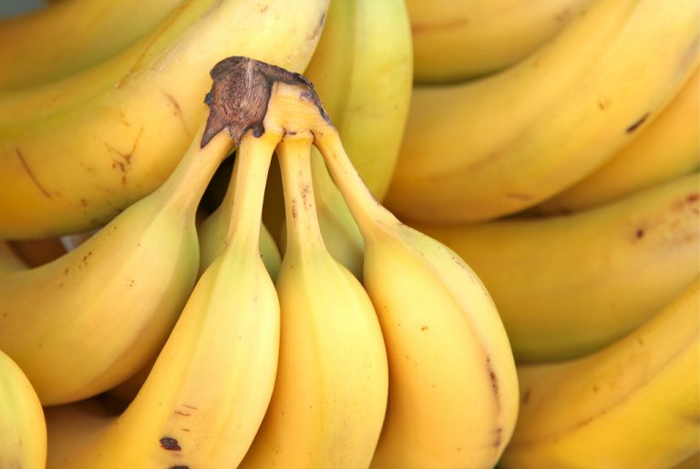 What is the difference between Sugar Bananas & Common Bananas? Are they