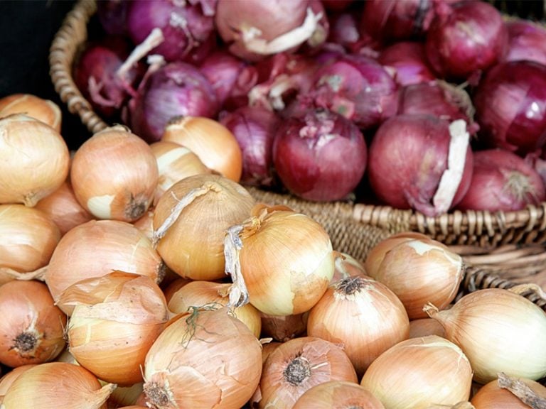 How to Replace Onion on the Low FODMAP Diet A Little Bit Yummy