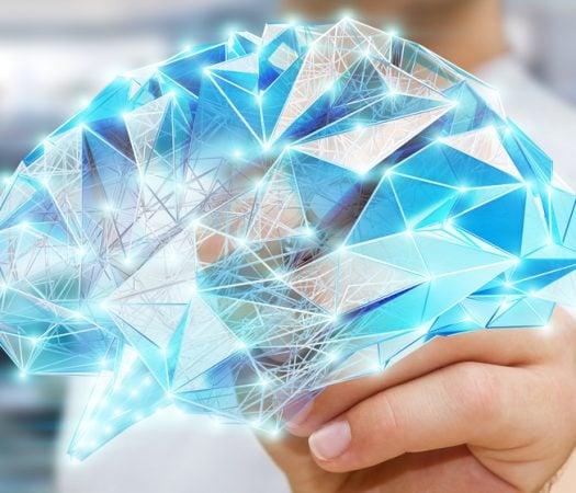 Understanding The Stress IBS Cycle