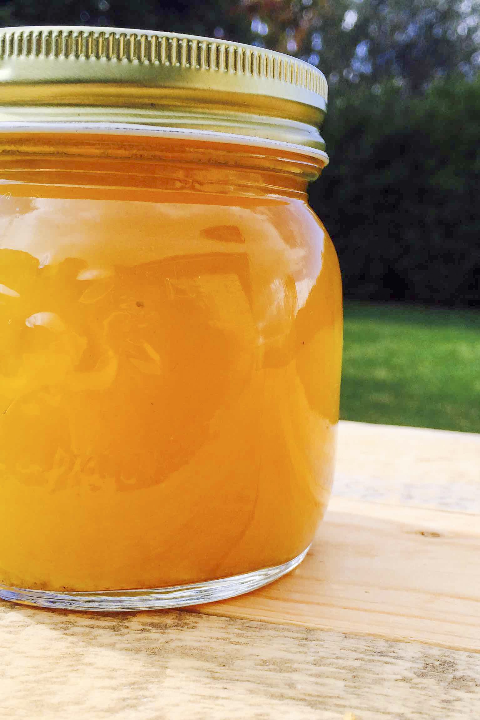 Low FODMAP Chicken Broth Recipe