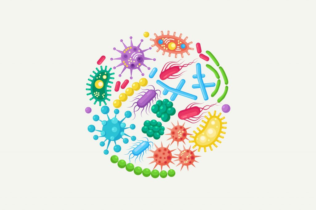 How does the FODMAP Reintroduction Phase work?