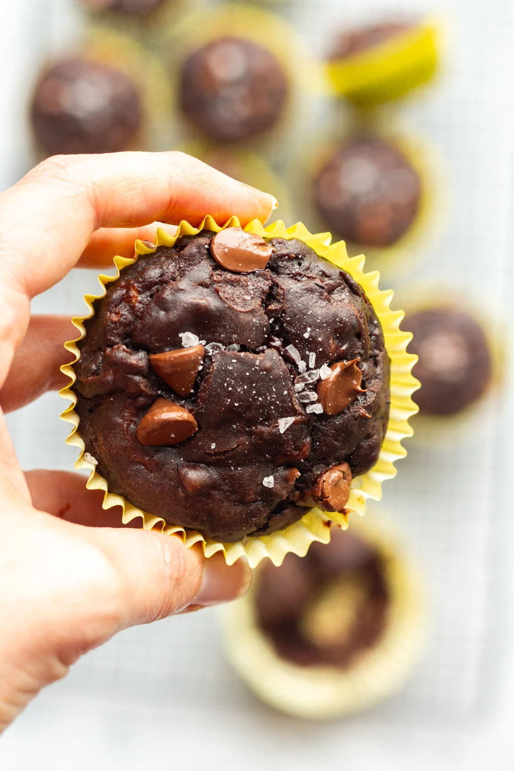 Low FODMAP Chocolate Zucchini Muffins - A Little Bit Yummy