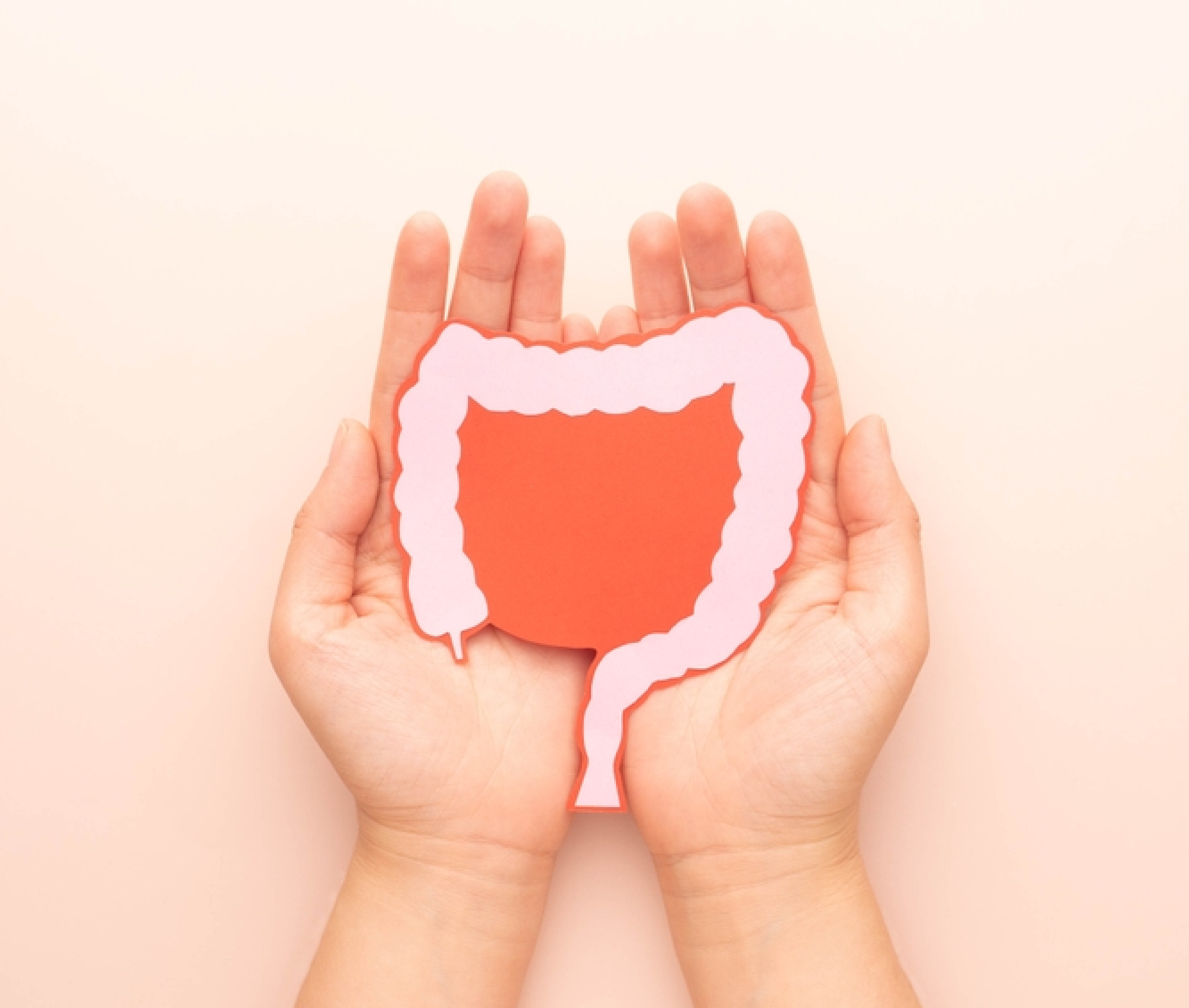 Irritable Bowel Syndrome Image In Hands (1)