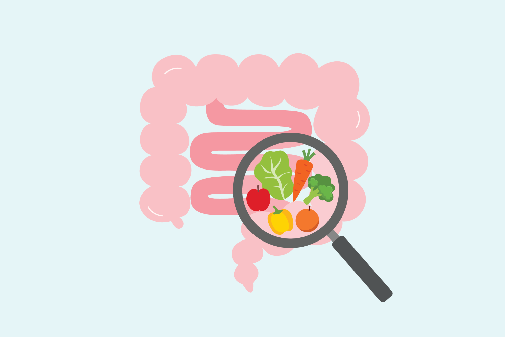 Bowel Illustration